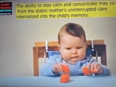 Can this explain the origin of ADHD, ADD, anxiety, depression, and panic?