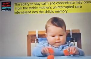 Can this explain the origin of ADHD, ADD, anxiety, depression, and panic?