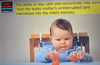 Can this explain the origin of ADHD, ADD, anxiety, depression, and panic?