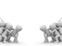 A Stage-5 Approach to the Israel-Palestine Conflict