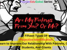 Are My Feelings From You Or Me?: Fifteen Types Of Projective Identification to Learn to Improve Our Relationships With Partners, Children, Students, And Clients