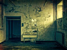 From Punishment to Prevention: A Five-Stage Approach to Crime and Mental Illness