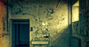 From Punishment to Prevention: A Five-Stage Approach to Crime and Mental Illness